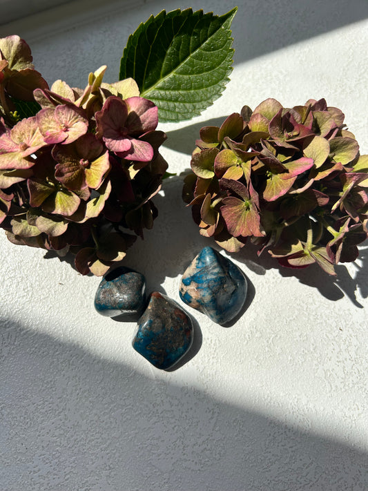 Quantum Quattro Trommelstein