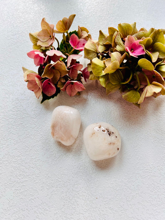 Skolezit XL – Trommelstein