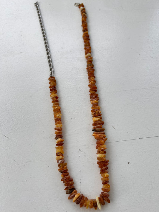 Bernstein Hunde Halsband