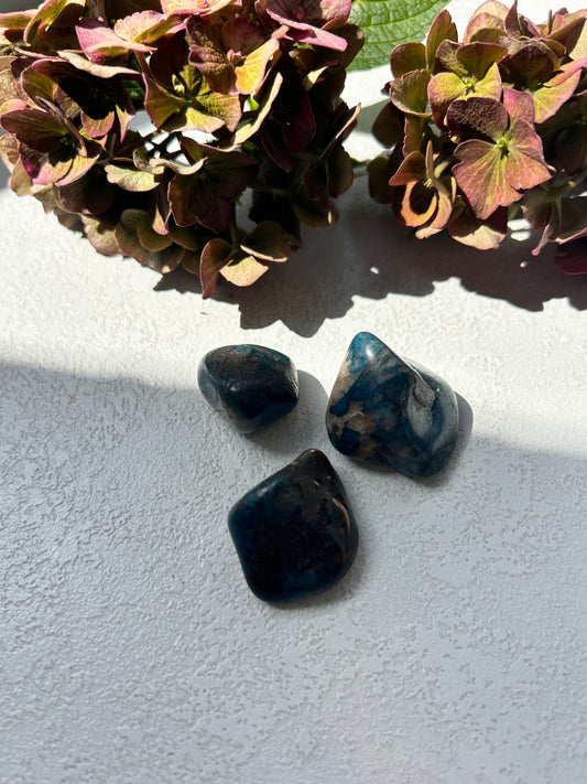 Quantum Quattro Trommelstein