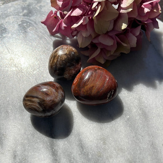 Versteinertes Holz Trommelstein