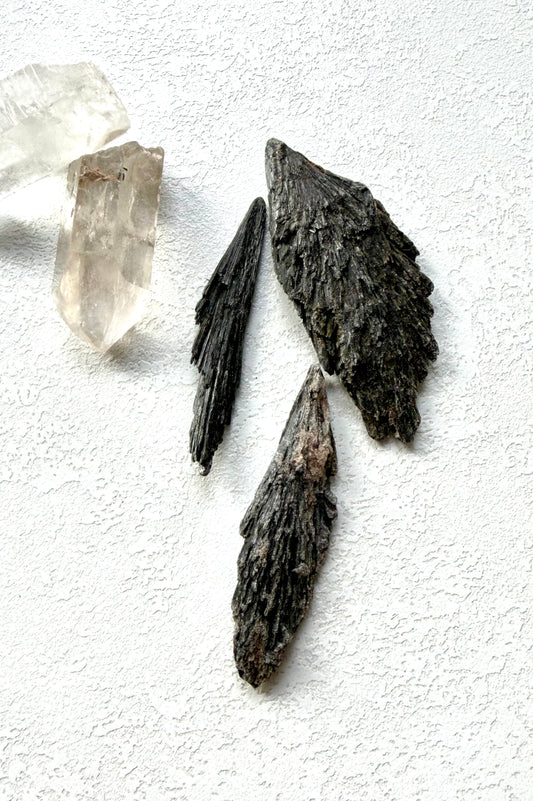 Schwarzer Kyanit Roh