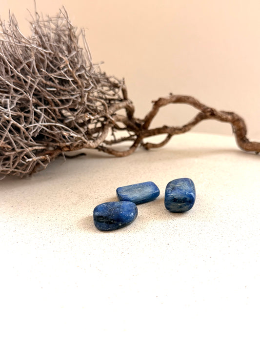 Disthen Trommelstein